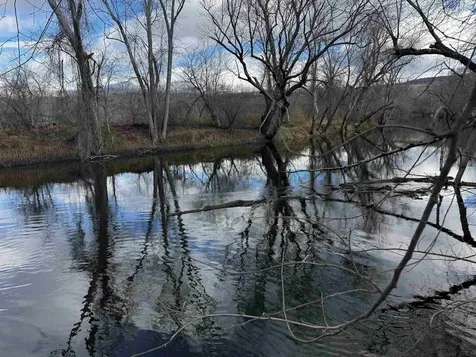 452 Syndicate Road Pittsford VT 05763