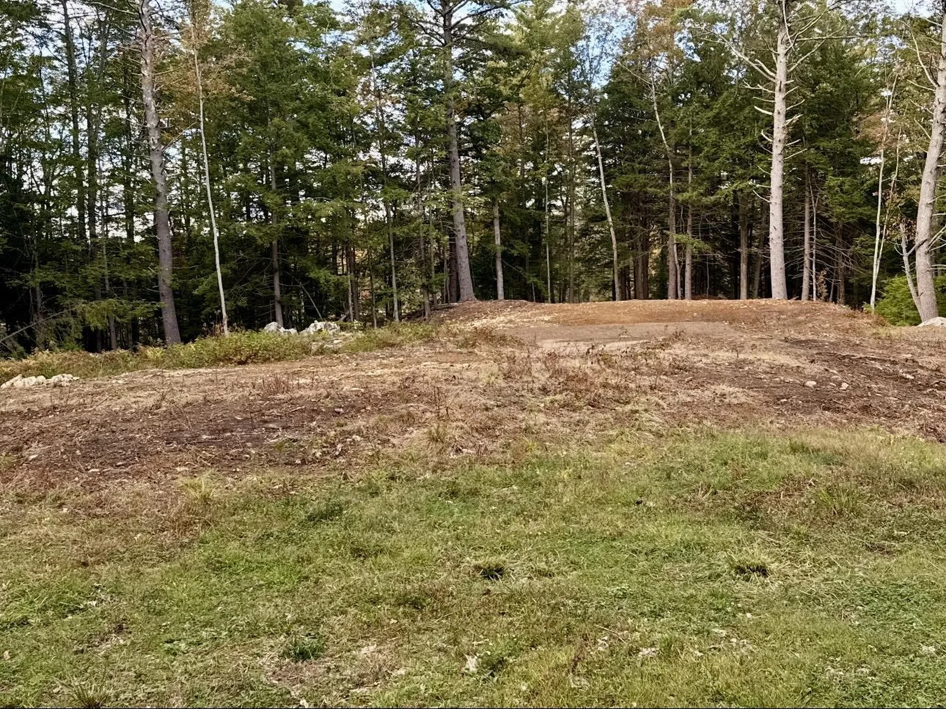 8 Heron Way Mont Vernon NH 03057