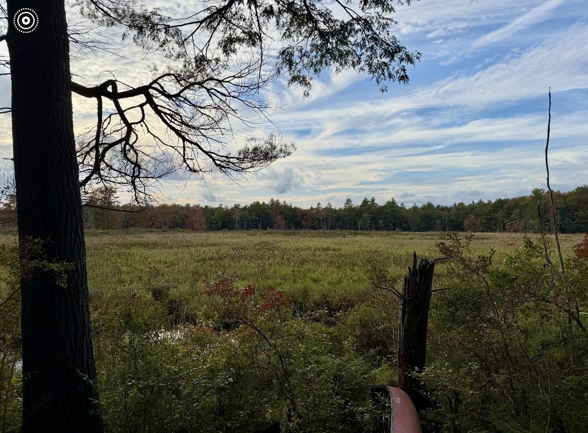 8 Heron Way Mont Vernon NH 03057