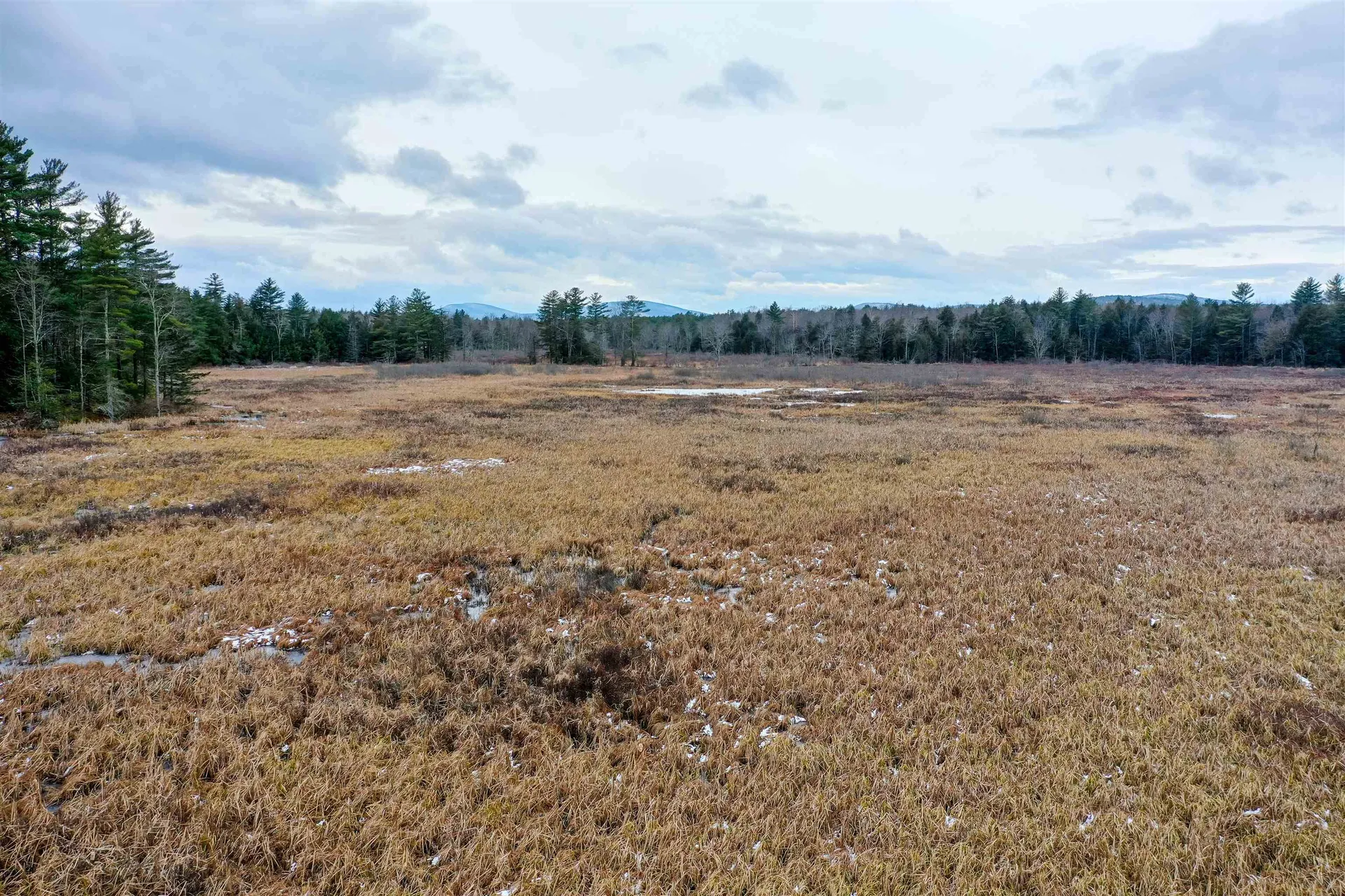 8 Heron Way Mont Vernon NH 03057