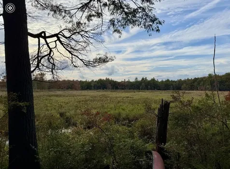 8 Heron Way Mont Vernon NH 03057