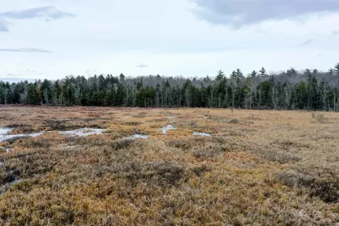 8 Heron Way Mont Vernon NH 03057