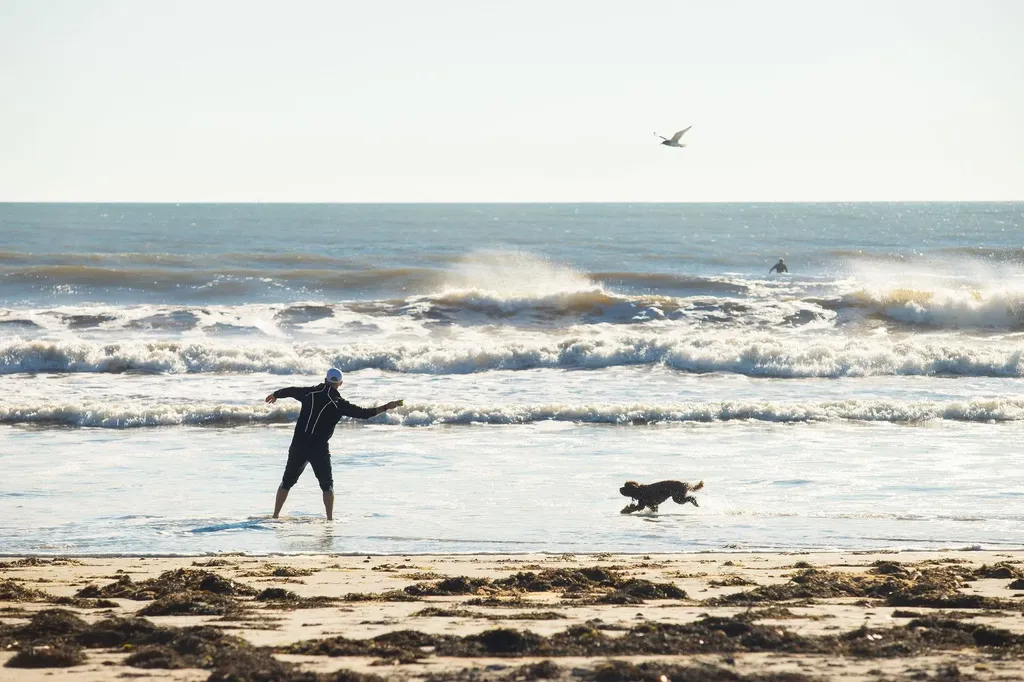 1244 Washington Road Rye NH 03870