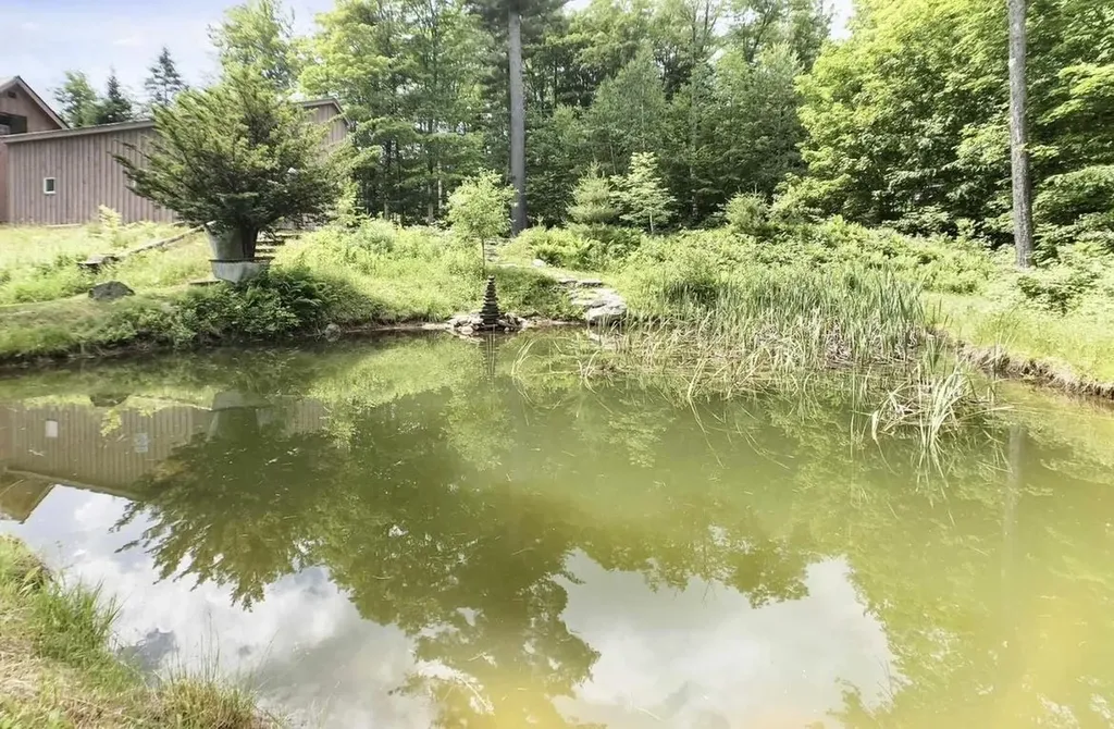 883 Smead Road Wardsboro VT 05355