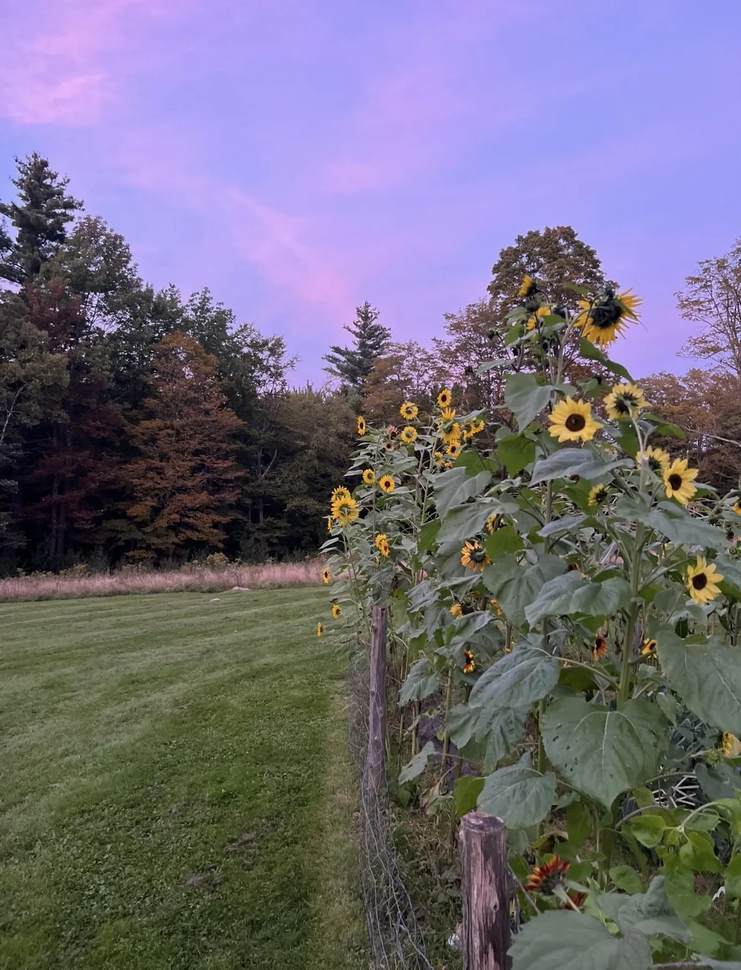 883 Smead Road Wardsboro VT 05355