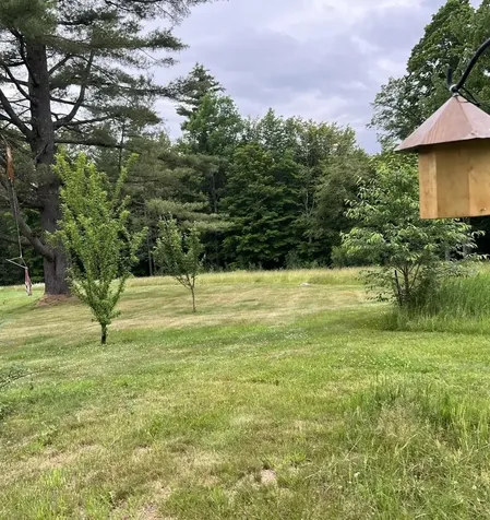 883 Smead Road Wardsboro VT 05355