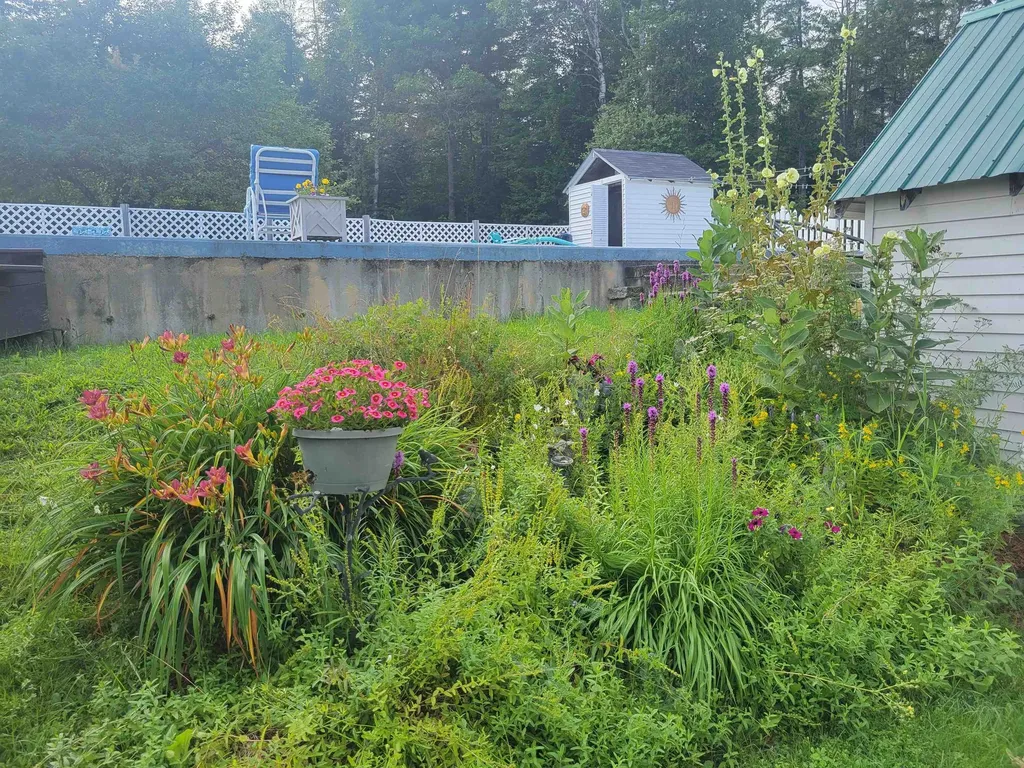 119 Hill Road Dummer NH 03588