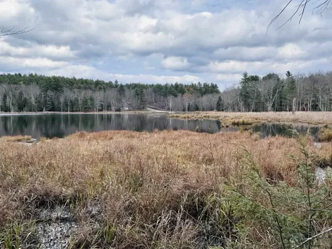 1854 Vt Route 9 West Marlboro VT 05344