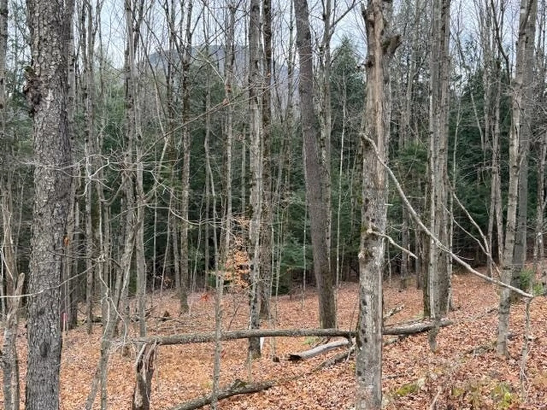 00 Maxfield Road Waterville VT 05492