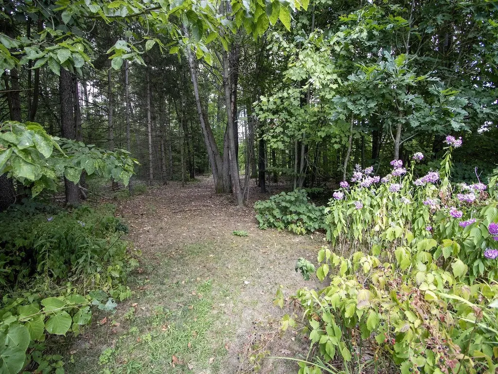 24 Logwood Circle Essex VT 05452