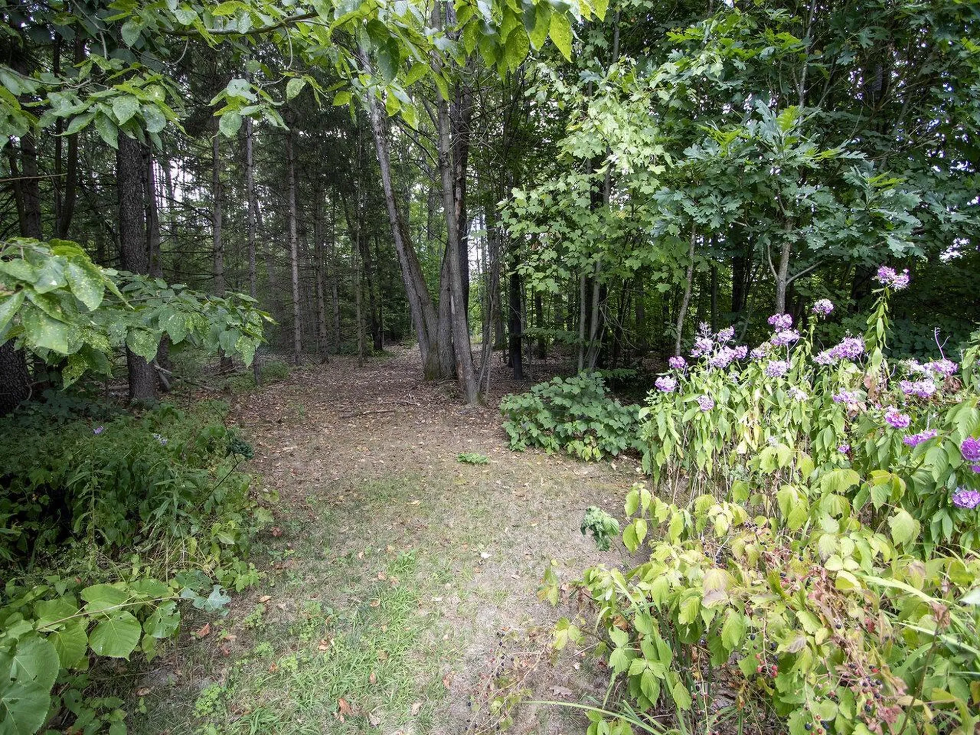 24 Logwood Circle Essex VT 05452