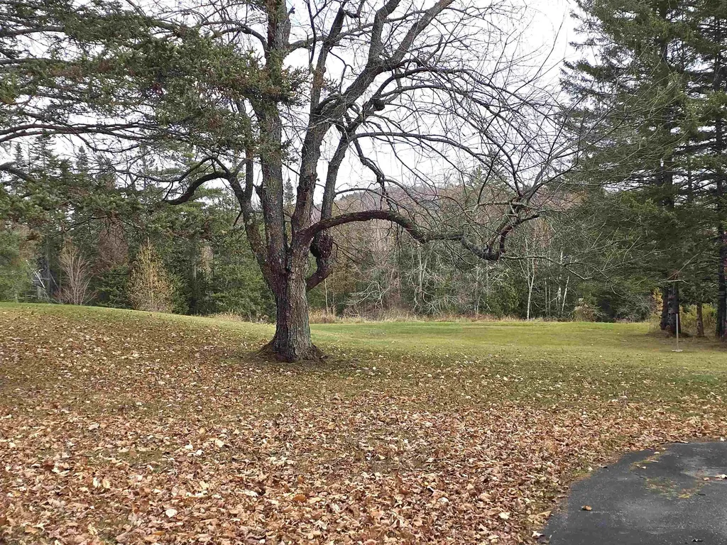 390 Hill Road Dummer NH 03588