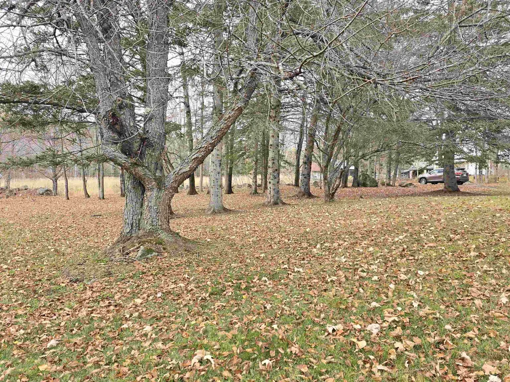 390 Hill Road Dummer NH 03588