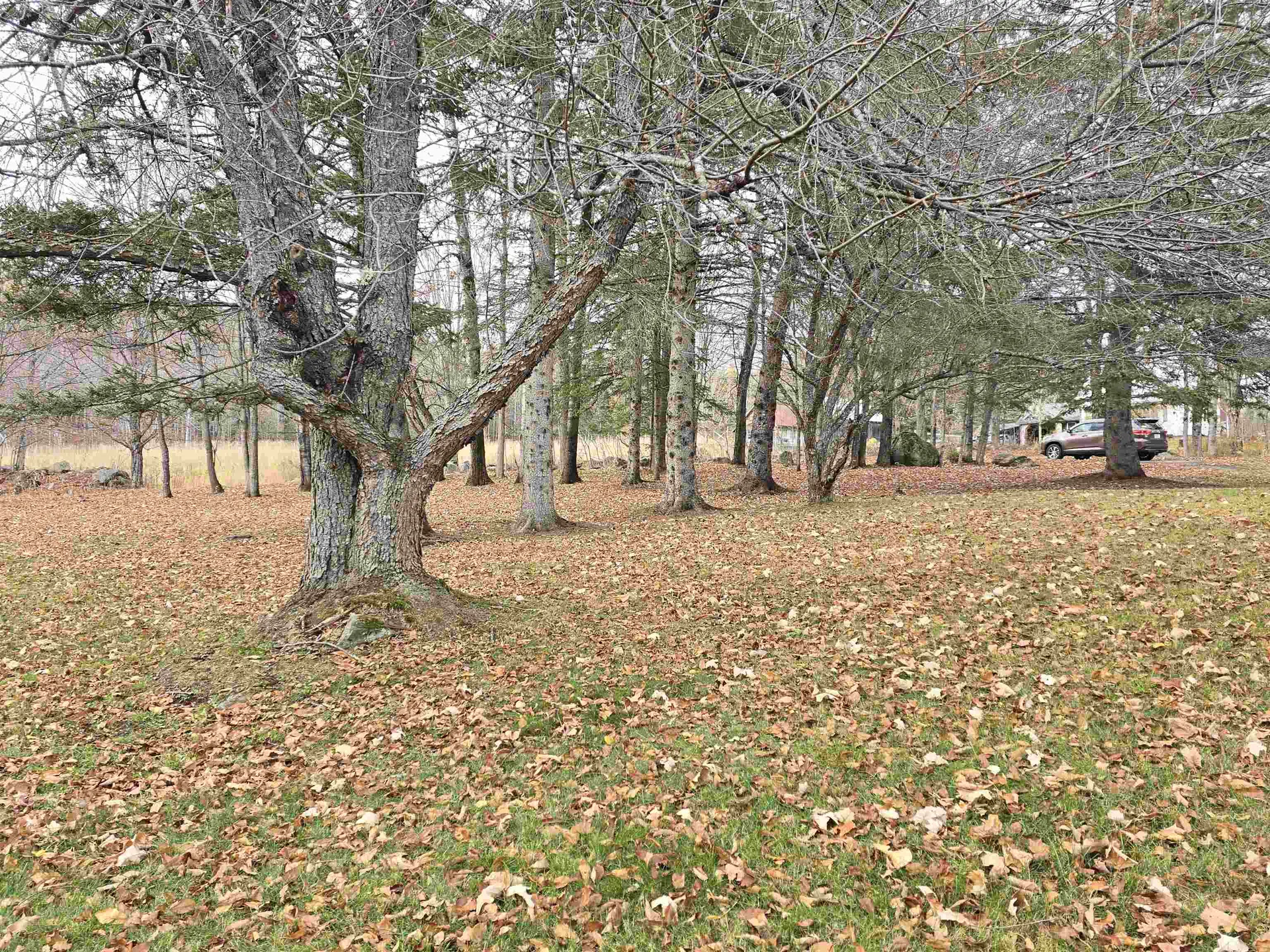 390 Hill Road Dummer NH 03588