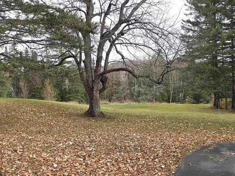 390 Hill Road Dummer NH 03588