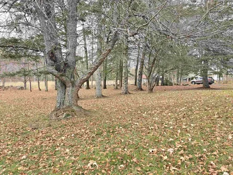 390 Hill Road Dummer NH 03588
