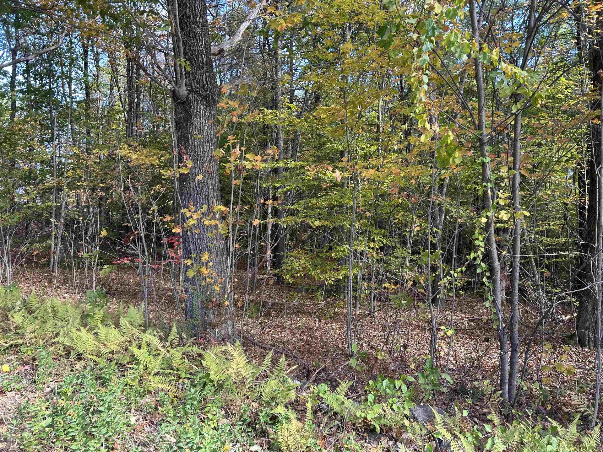 0 Province Road Gilmanton NH 03237