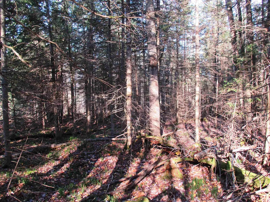 00 Farm Road Lowell VT 05847