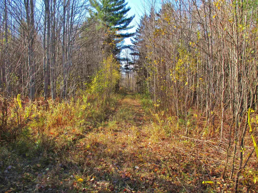 00 Farm Road Lowell VT 05847