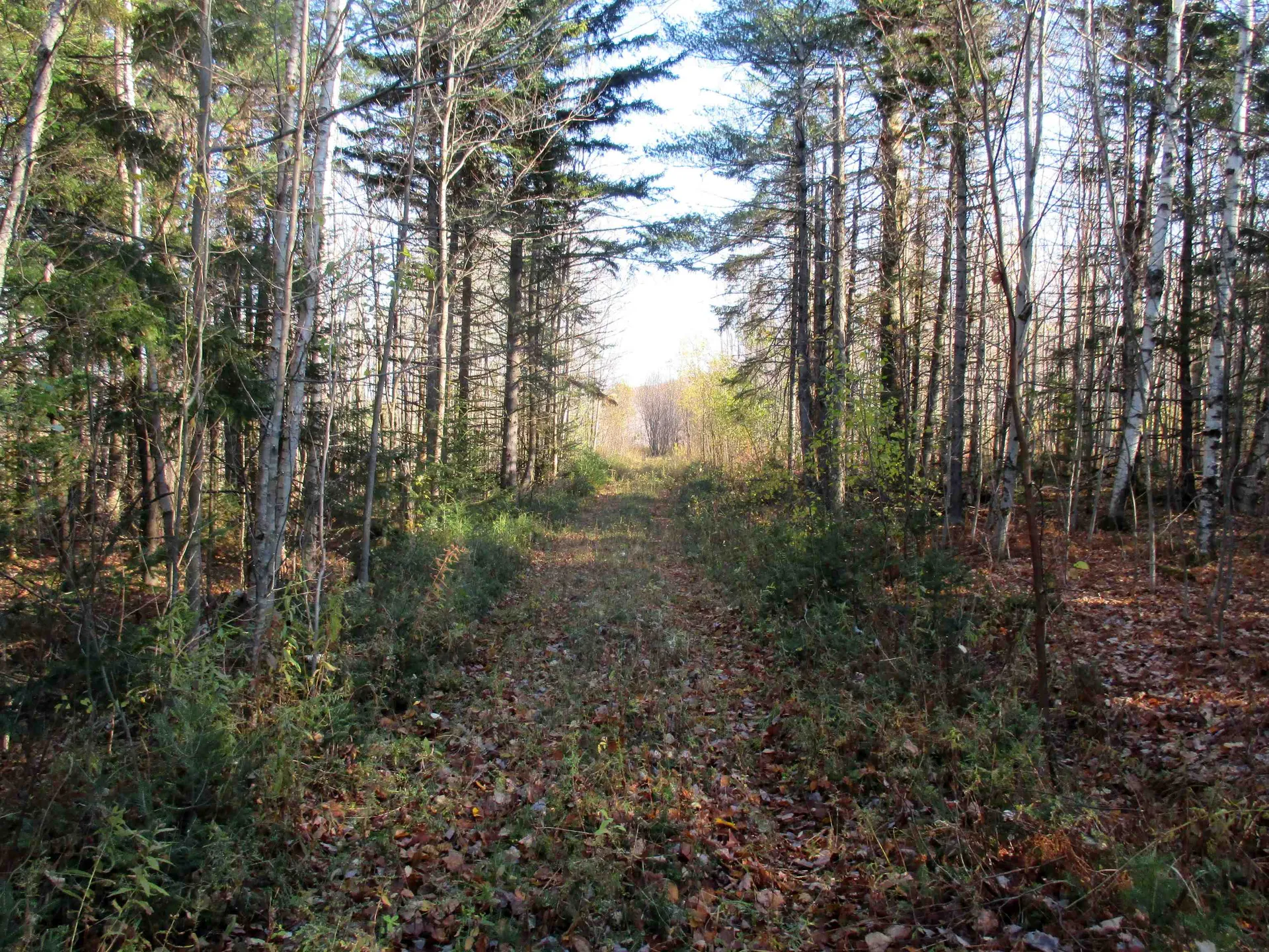 00 Farm Road Lowell VT 05847
