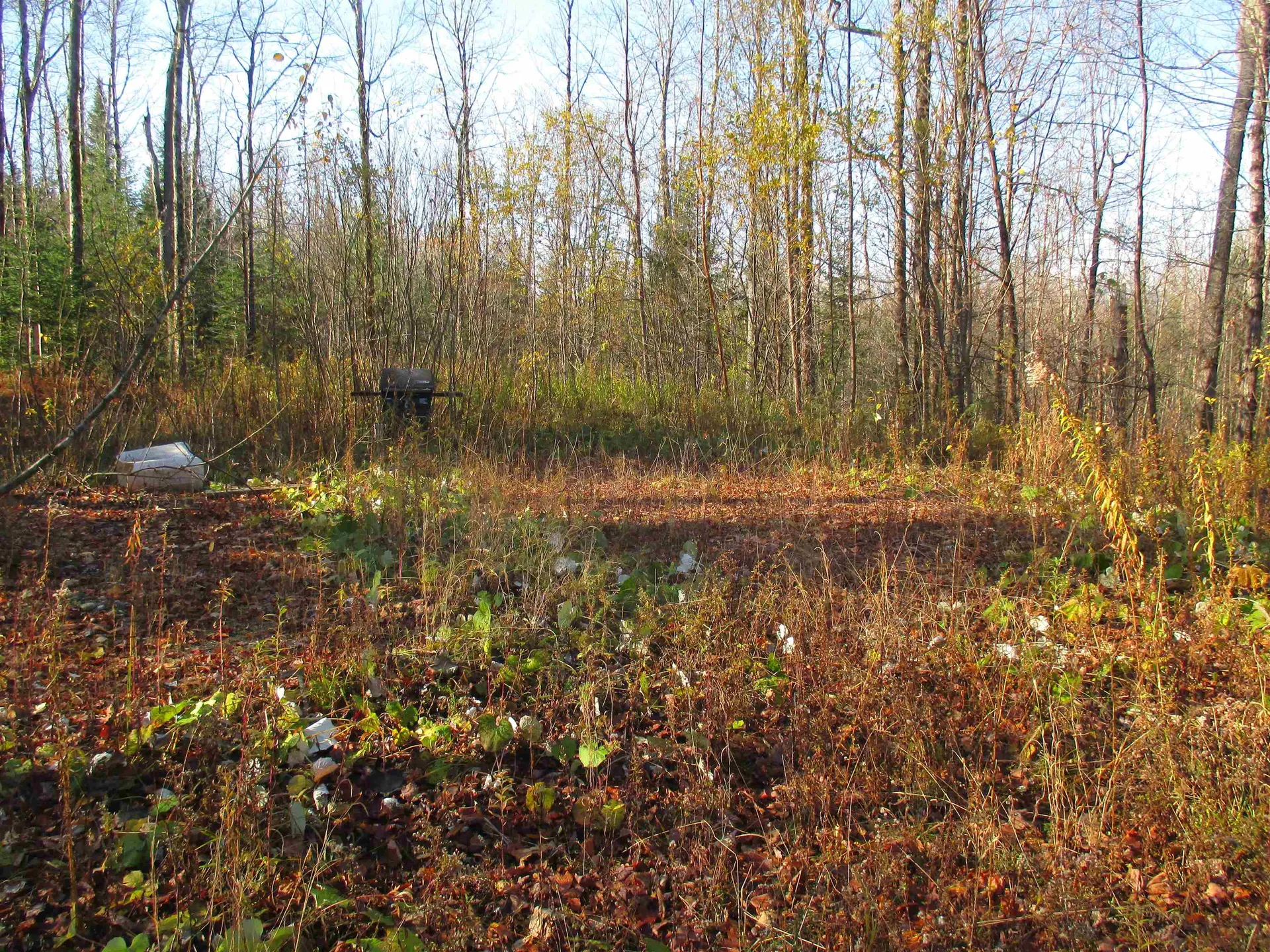 00 Farm Road Lowell VT 05847