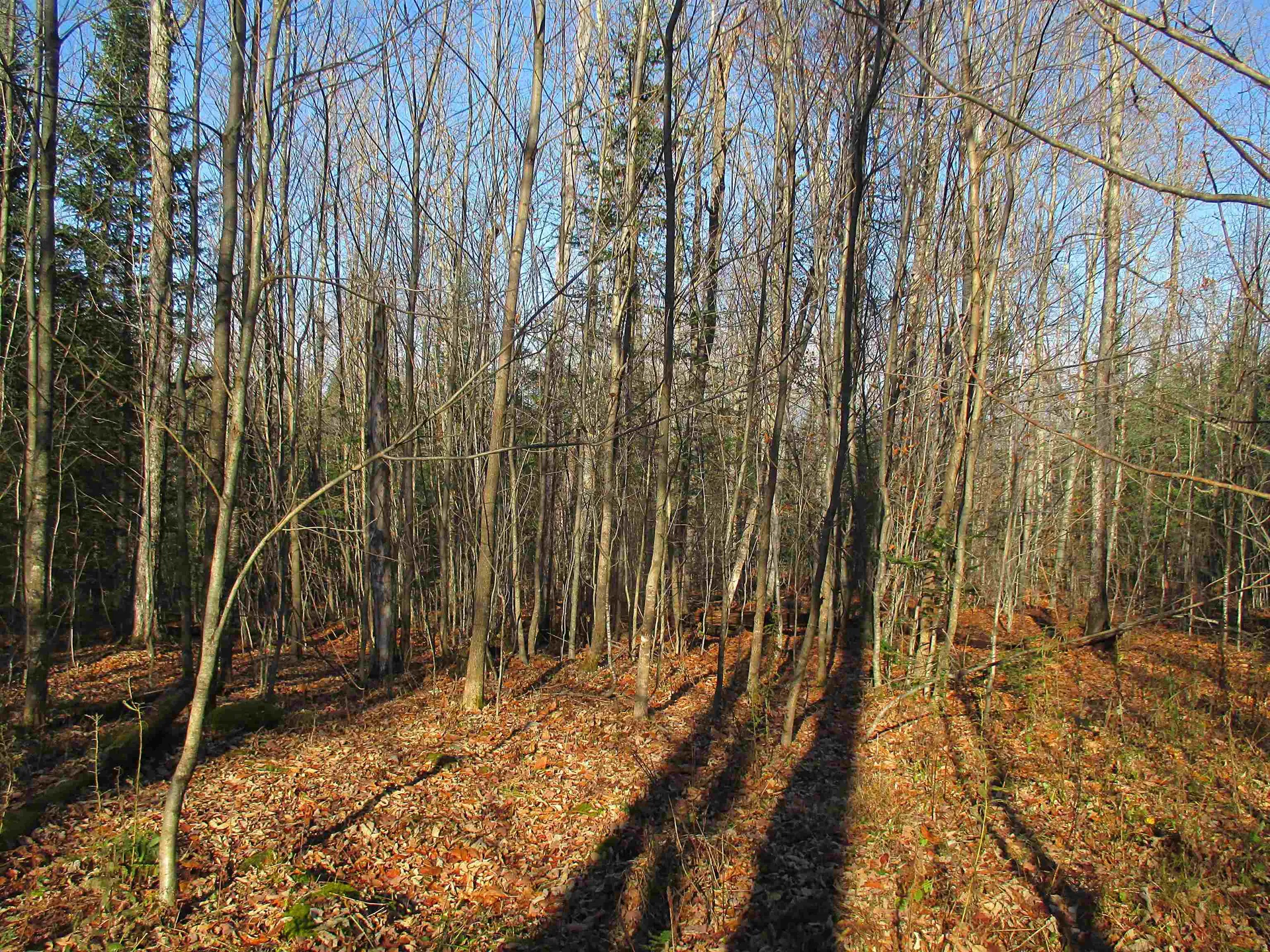 00 Farm Road Lowell VT 05847