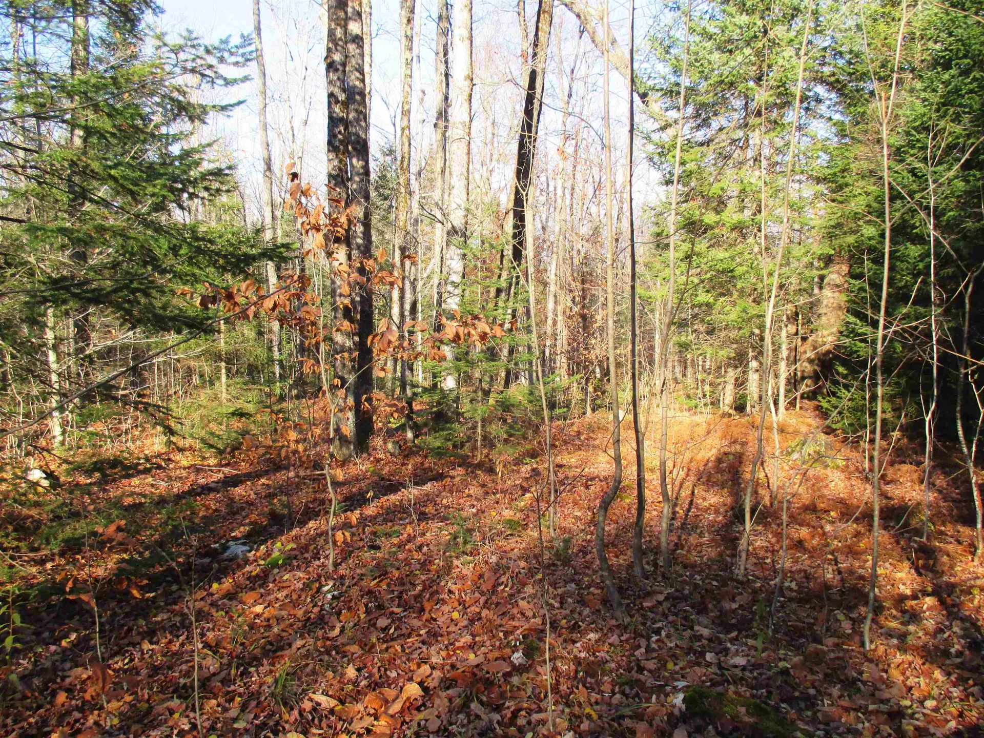 00 Farm Road Lowell VT 05847