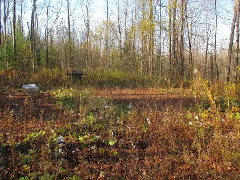 00 Farm Road Lowell VT 05847