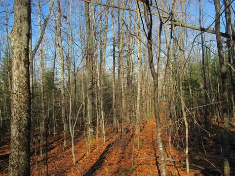 00 Farm Road Lowell VT 05847