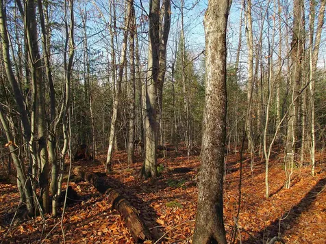 00 Farm Road Lowell VT 05847