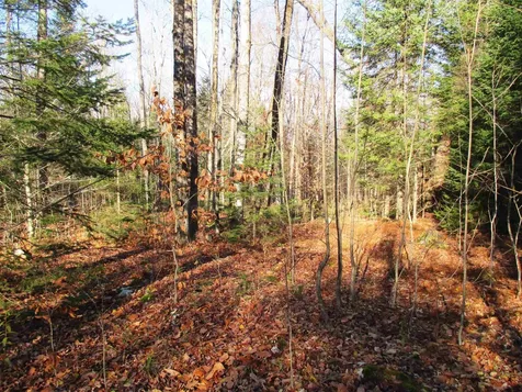 00 Farm Road Lowell VT 05847