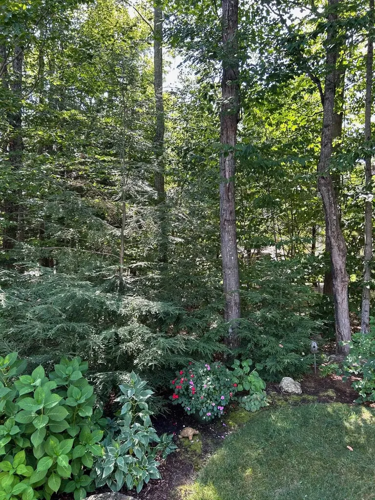 37 Drew Lane Laconia NH 03246