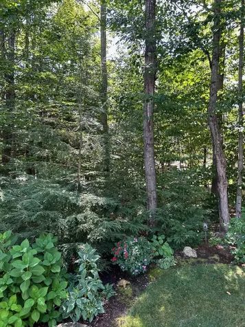 37 Drew Lane Laconia NH 03246