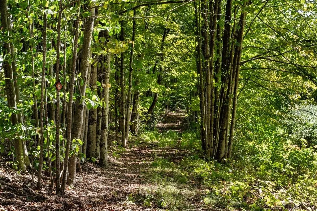 22 Abberton Road Canterbury NH 03224