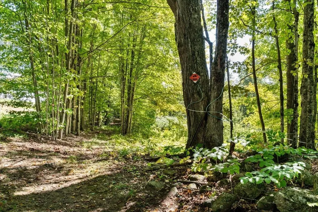 22 Abberton Road Canterbury NH 03224