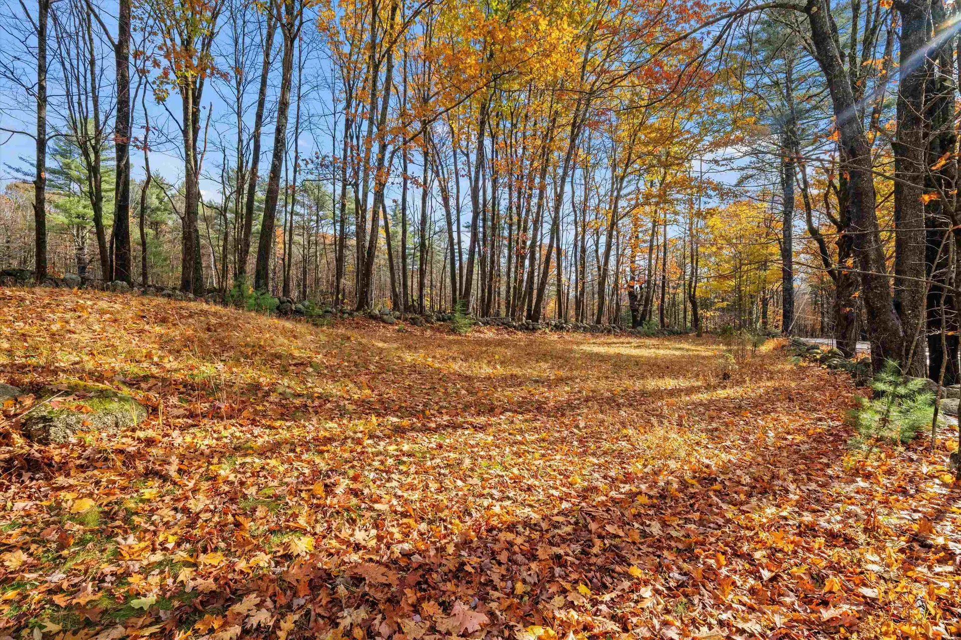 475 Old County Road Deering NH 03244