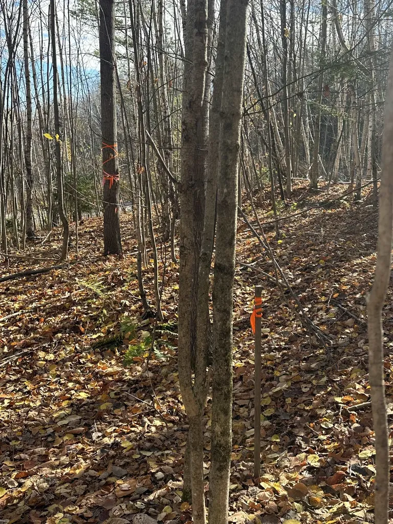 0 Glade Circle Campton NH 03223