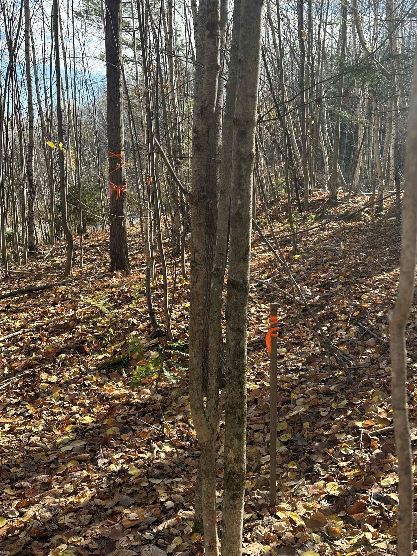 0 Glade Circle Campton NH 03223