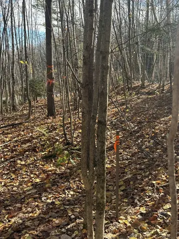 0 Glade Circle Campton NH 03223