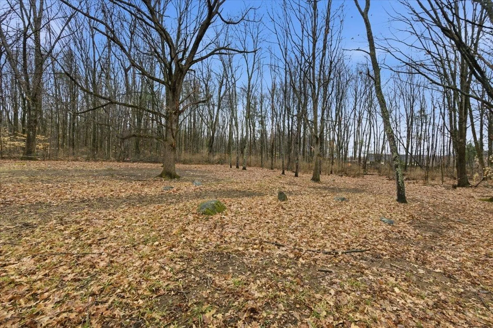 538 Basin Road Brandon VT 05733