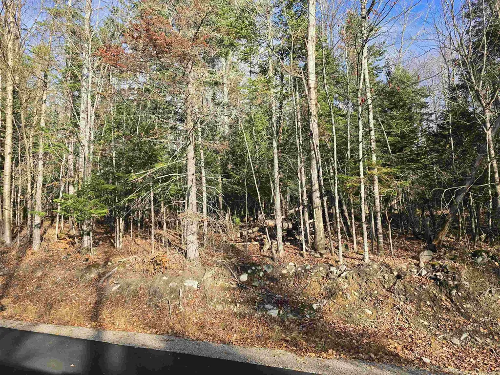 Hawkins Road Dummer NH 03588