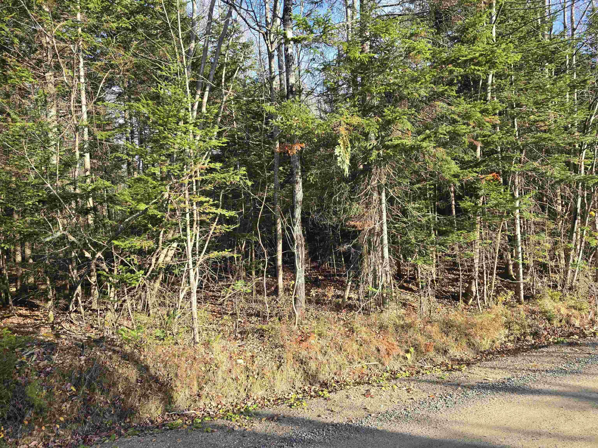 Hawkins Road Dummer NH 03588