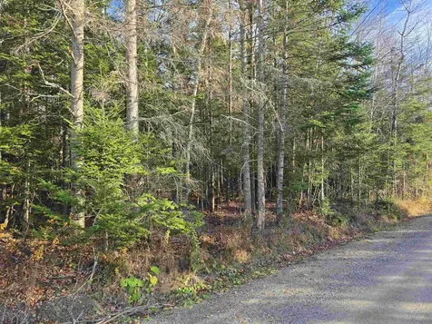 Hawkins Road Dummer NH 03588