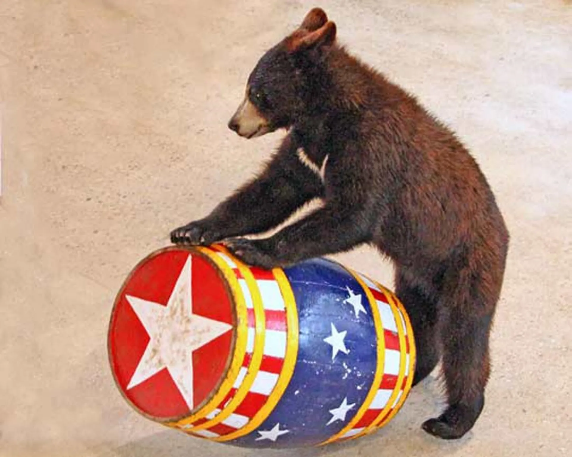 374 Us Route 3 Lincoln NH 03251