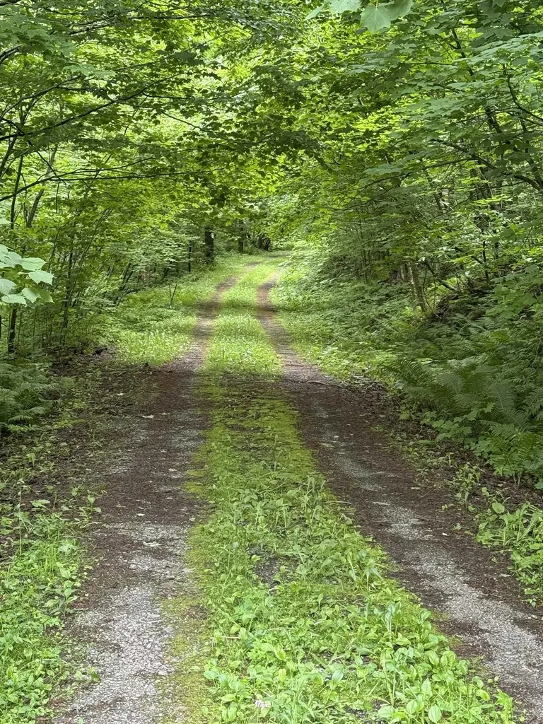 680 Deming Road Enosburg VT 05450