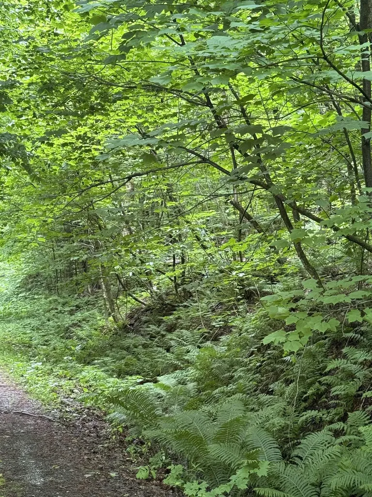 680 Deming Road Enosburg VT 05450