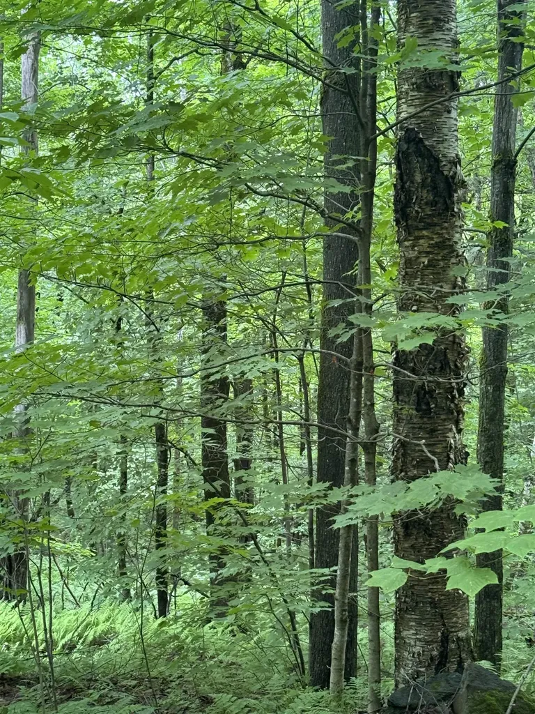 680 Deming Road Enosburg VT 05450