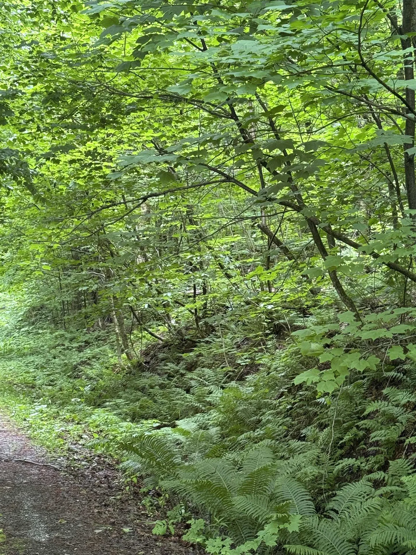 680 Deming Road Enosburg VT 05450