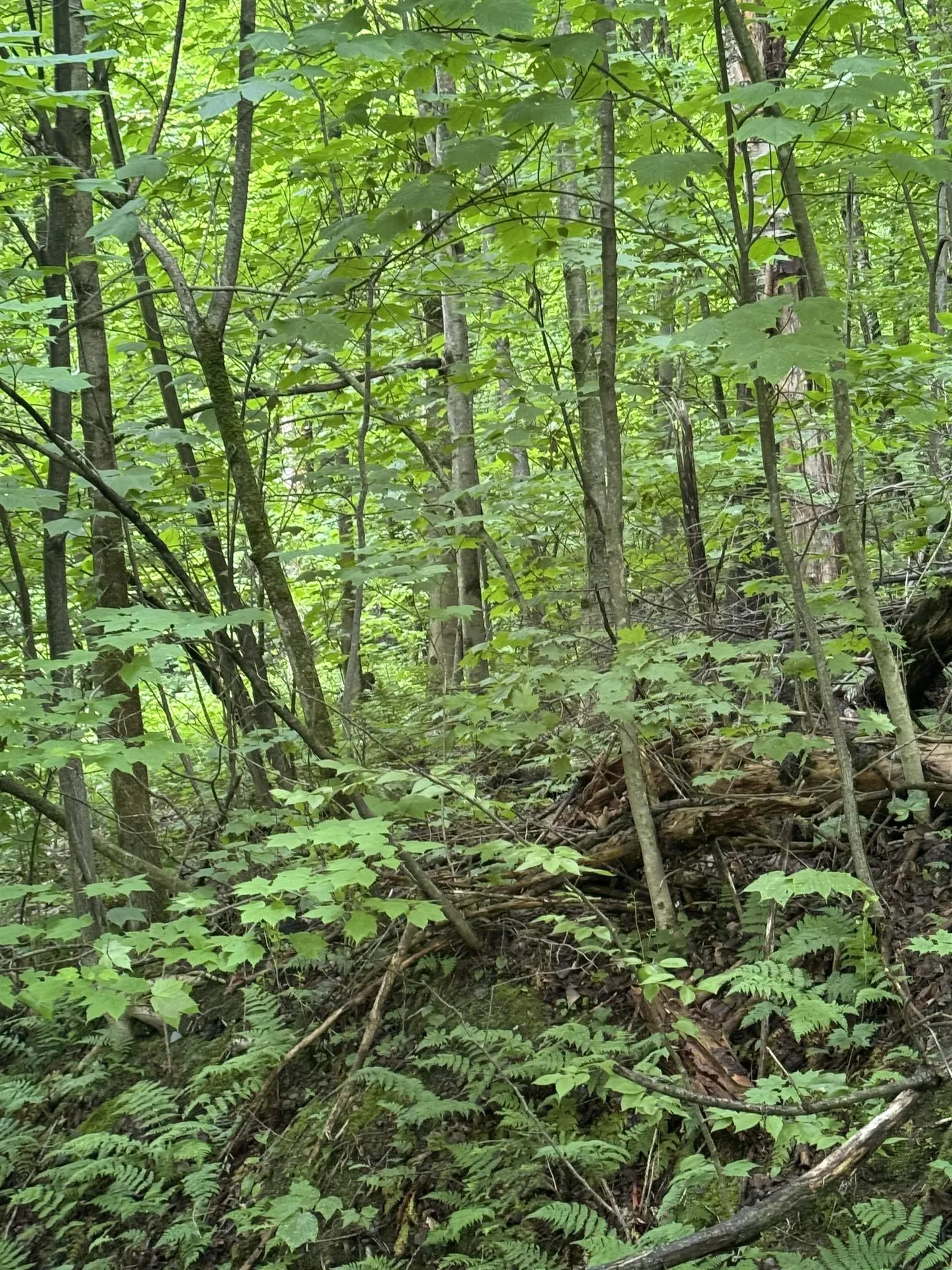 680 Deming Road Enosburg VT 05450