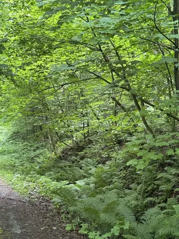 680 Deming Road Enosburg VT 05450